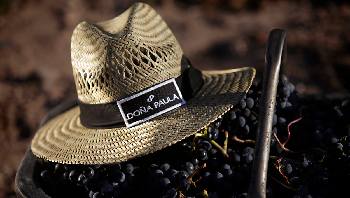 2021年 智利葡萄酒指南 評分出爐 阿根廷唐璜酒莊單園系列及超級窖藏系列勇奪高分獎項!