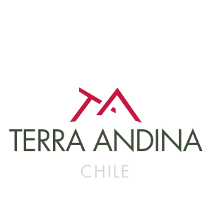 智利德安媞娜酒莊Terra Andina